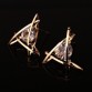 Dazzling Triangle Zircon Earrings Special Fashion Gift Jewelry Accessories32913755868