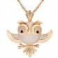 Awesome Rhinestones Crystal Pendant Owl Design Chain Sweater Necklace Special Fashion Gift Jewelry Accessories32809591155