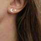Cute Golden Stainless Steel Carnation Stud Animal Heart Leaves Cat Minimalist  Earrings32841651345