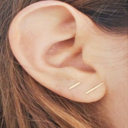 Cute Golden Stainless Steel Carnation Stud Animal Heart Leaves Cat Minimalist  Earrings 